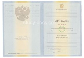 Диплом специалиста 2010-2011 в Мытищи