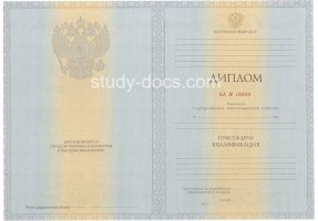 Диплом специалиста 2012-2013 в Мытищи